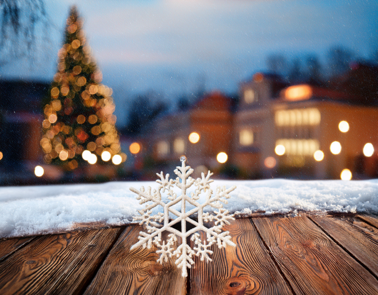 TruePro Cleaning Services in Winter