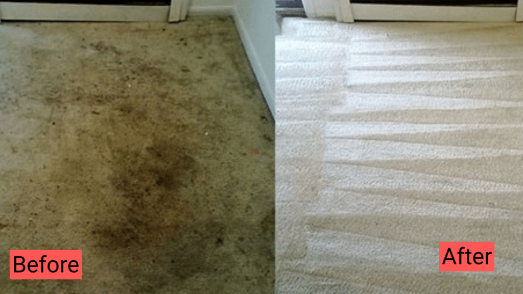 Cleaning carpets with TruePro Cleaning Services