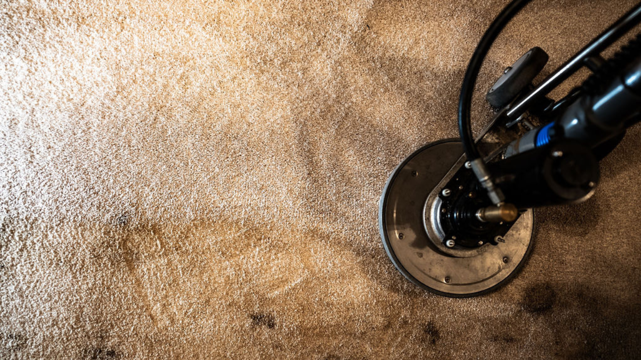 Allergen removal of carpets in Knoxville TN